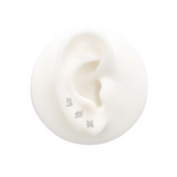 Trident Titanium Threadless Star Sign Pisces