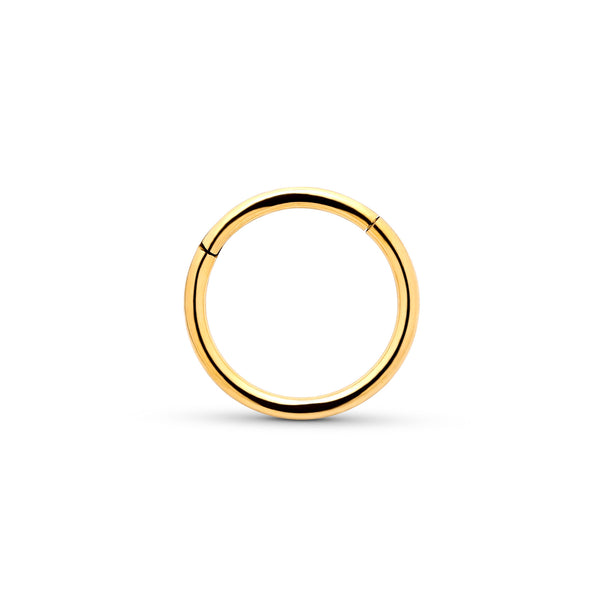 24kt Gold PVD Titanium Hinged Segment Ring